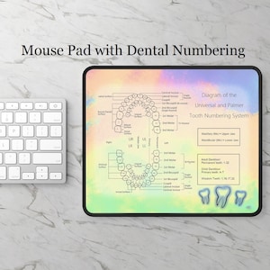 Tooth Numbering Diagram Mouse pad for dentist offices & students. Tooth number chart, dental office gift, dental decor, dental assistant