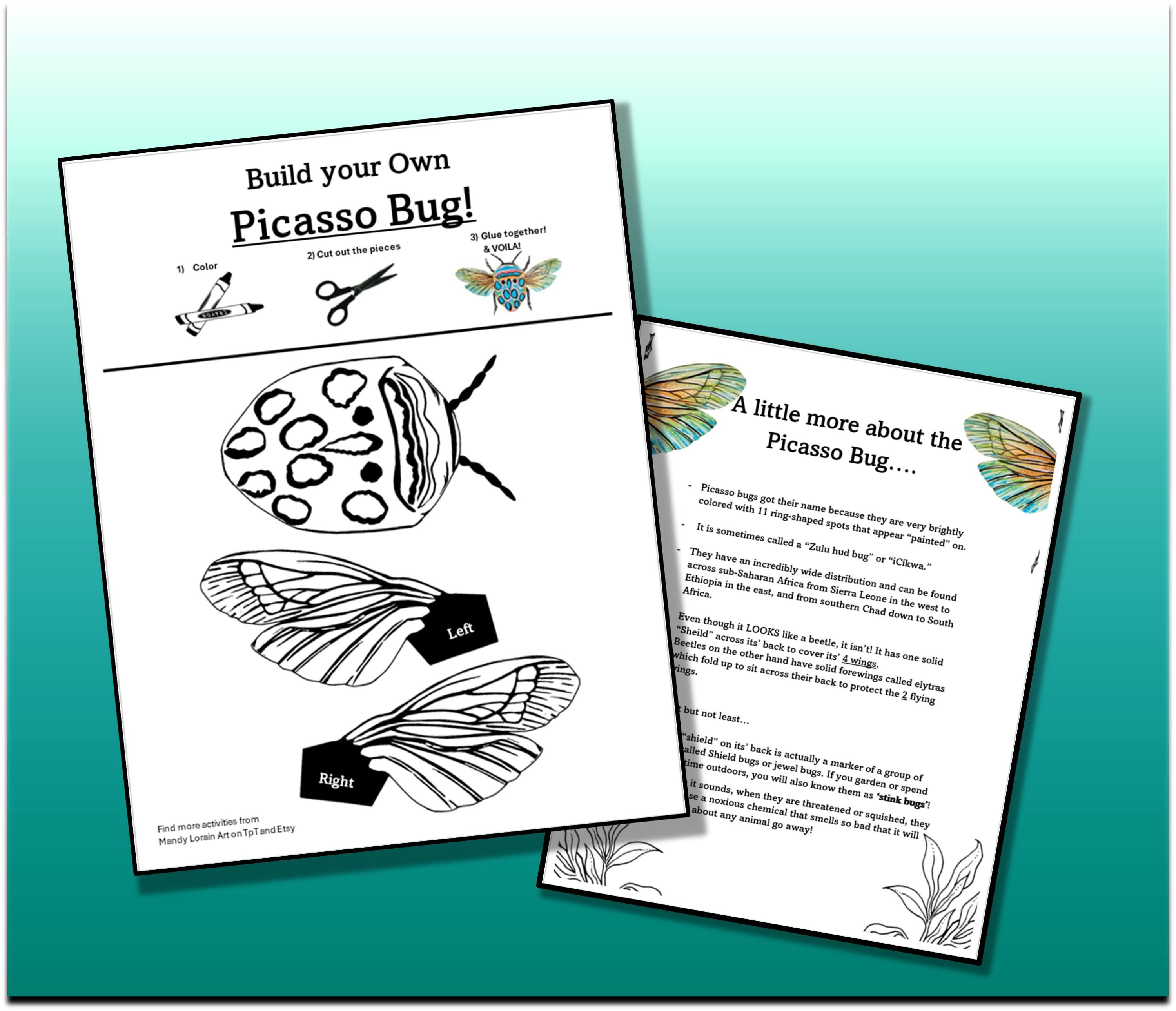Build Your Own Insect, Faux Beetle Specimen, Insect Specimen ...