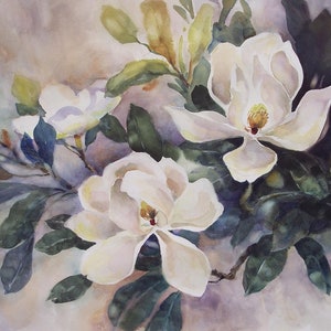 Magnolia Floral Art Print. Giclee print of a watercolor painting by Bill Oplinger