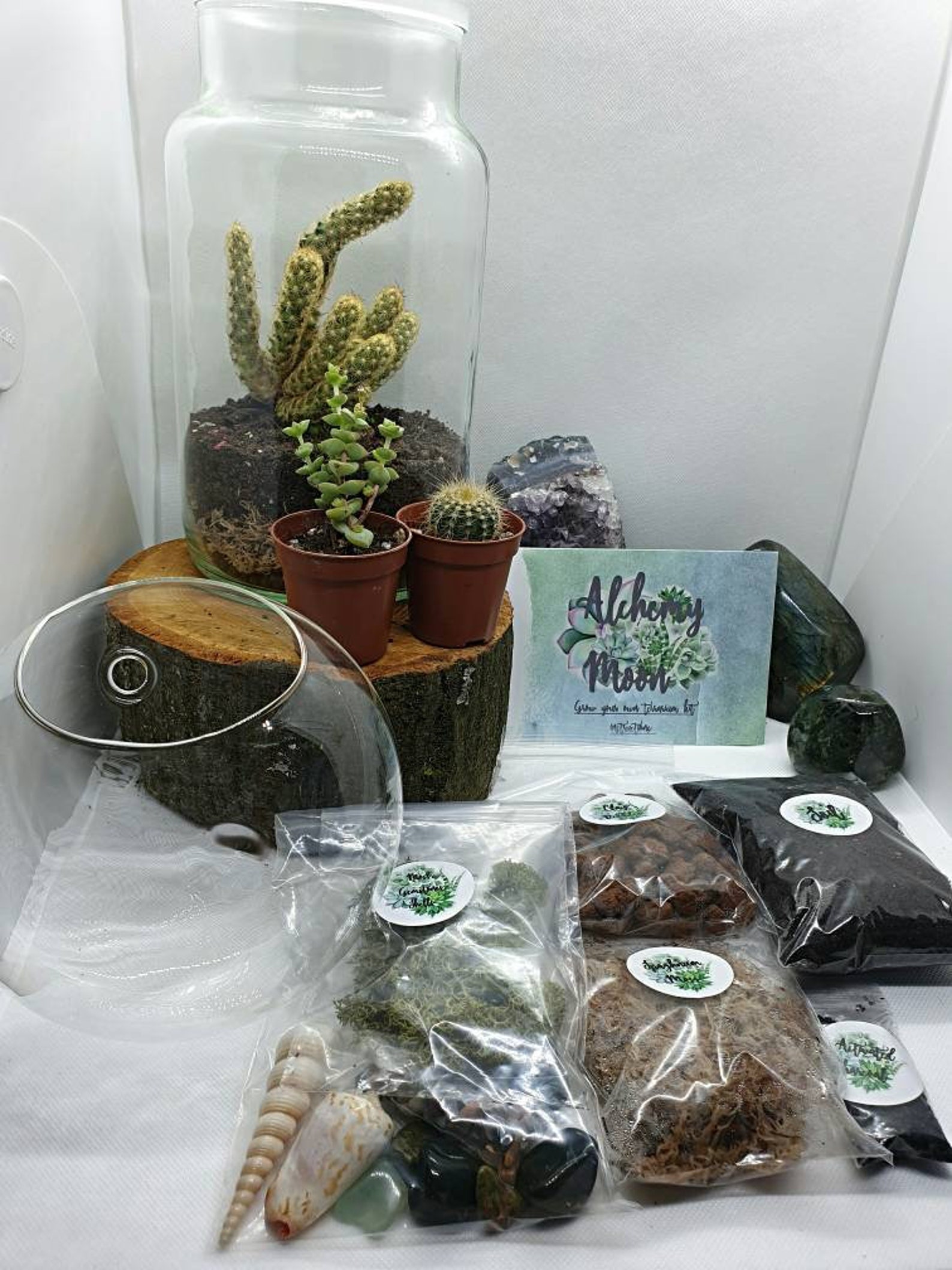 DIY Terrarium Kit With Wall Hung Semi Circle Glass Planter / Terrarium