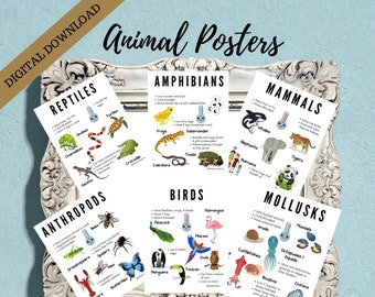 Animal Poster Set - DIGITAL DOWNLOAD - Education Printable, Montessori Materials, Online Resources