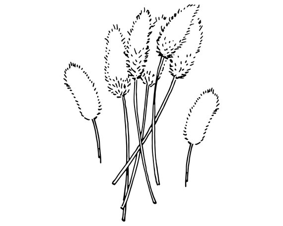 Free Free Flower Doodle Svg 941 SVG PNG EPS DXF File