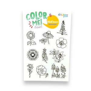 Color Your Own Wildflowers Stickers, planner stickers, sticker gift, Texas, sticker sheet, cute stickers, flowers, stickers for water bottle