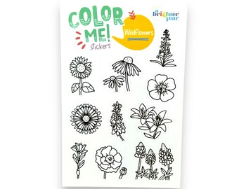 Color Your Own Wildflowers Stickers, planner stickers, sticker gift, Texas, sticker sheet, cute stickers, flowers, stickers for water bottle