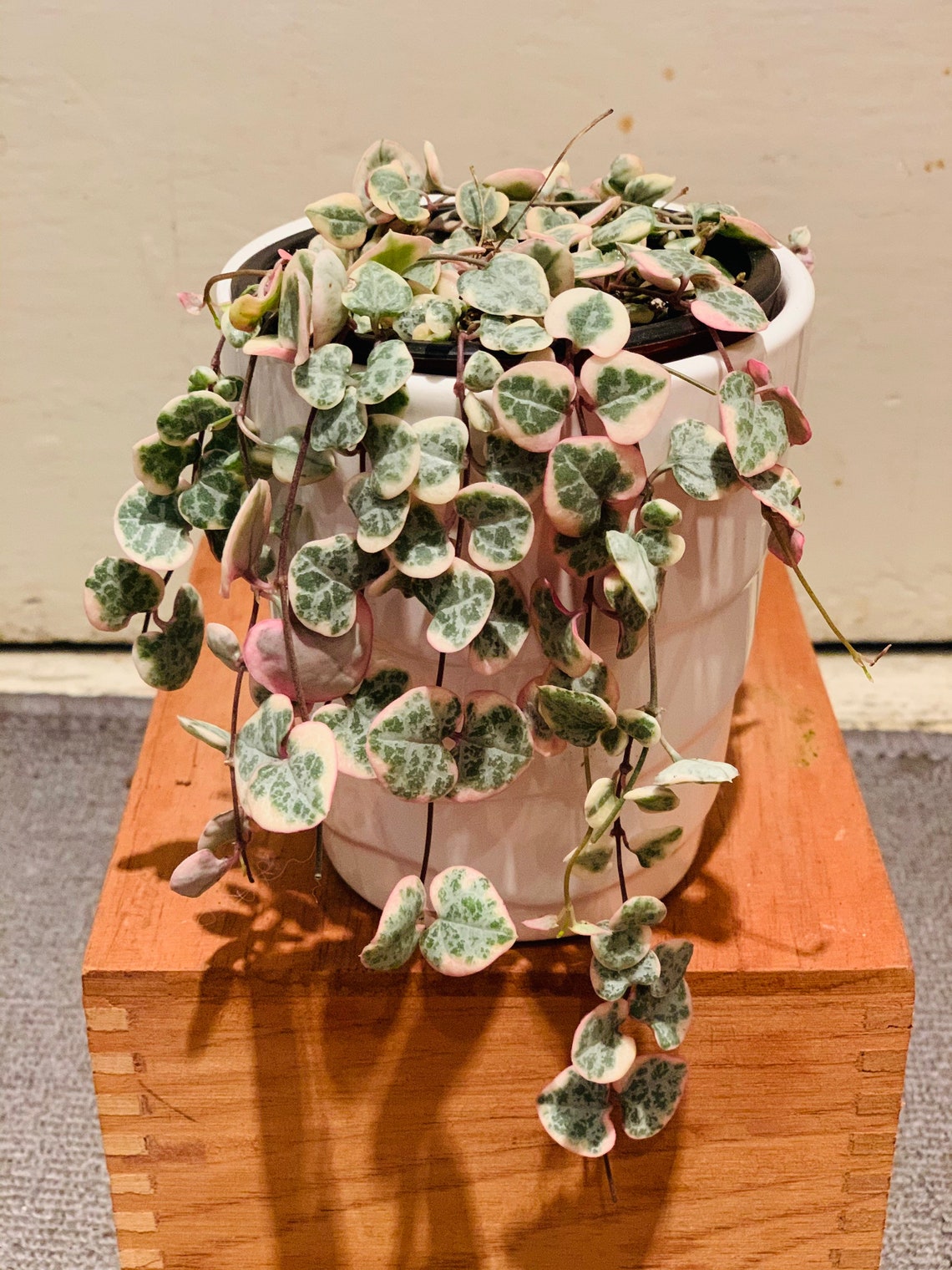 Variegated string of hearts Etsy