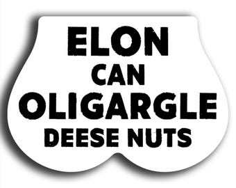 Anti-Elon Musk Bumper Magnet – Funny Car Accessory for Tesla Owners