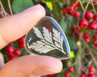 Handmade Winter Fern & Branch Guitar Pick