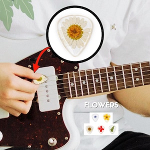 Birthday Music Gift | Flower Guitar Picks | 5-Pack | Real Flowers | Original | Guitar Gift | Guitar Gifts | Guitar Pick | Artsy