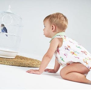 May include: A toddler wearing a white sleeveless romper with a colorful bird print and a green gingham collar, crawling toward a white wire birdcage containing a small blue and black lovebird perched on a white plastic rod inside the cage.