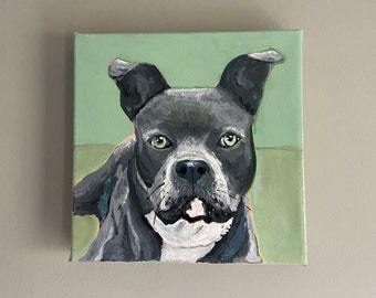 Hand painted pet portrait! Dogs, Cats and more!