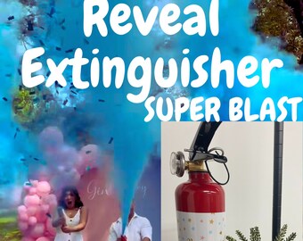 Extincteur couleur Gender Reveal LARGE Best-seller !!!! Nous le fabriquons ici aux États-Unis