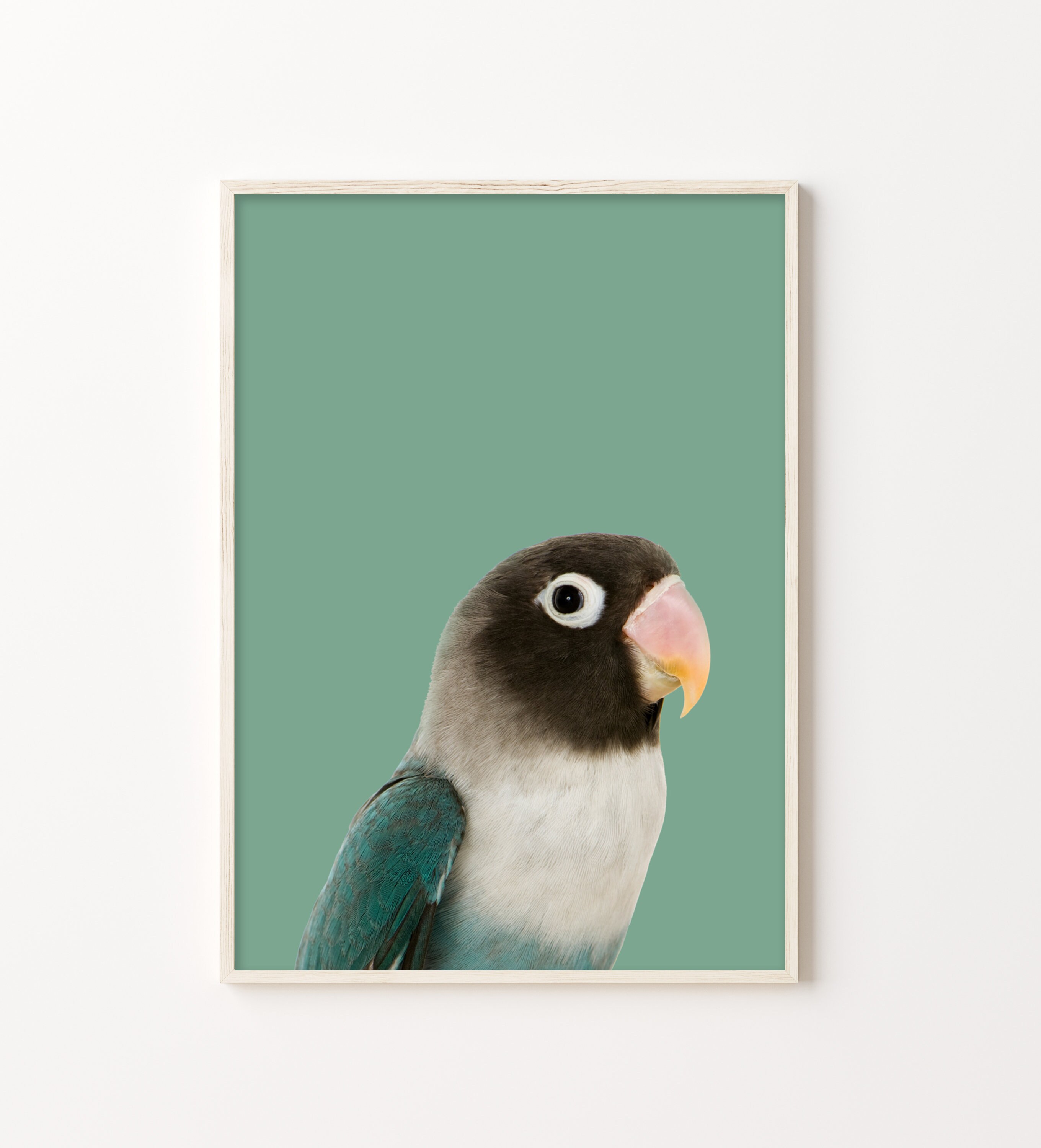 Animal prints Green Parrot Bird Print Parrot wall Art Australian Art Nursery Art Nursery  Art Green Bird Bird photography print
