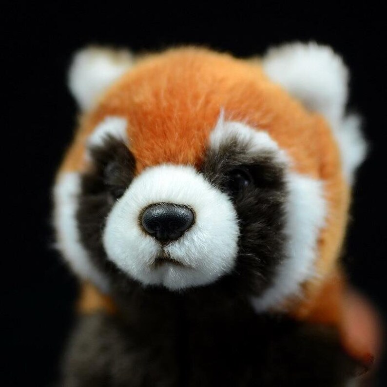 Cute Red Panda Realistic Animal Plush Stuffed Toy | Etsy