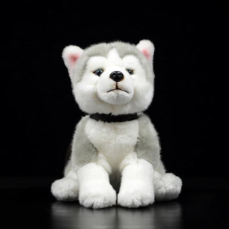Lindo Husky Sentado Animal Peluche Juguete Relleno Etsy