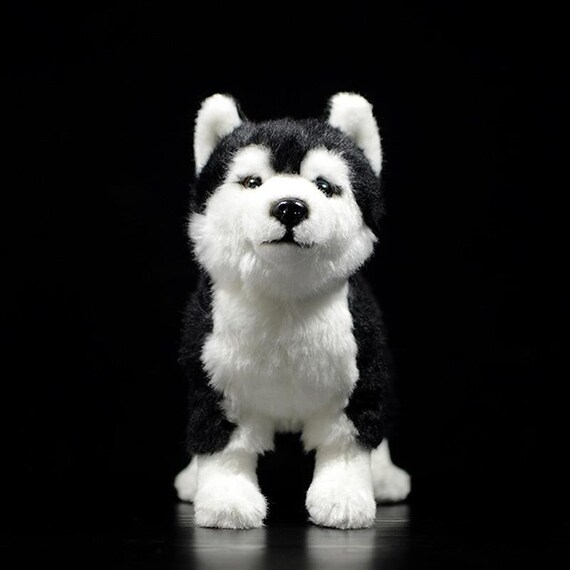 stuffed siberian husky