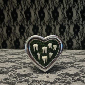 Raccoon Teeth in Mini Silver Heart Frame | Gothic Decor | Oddities & Curiosities Display