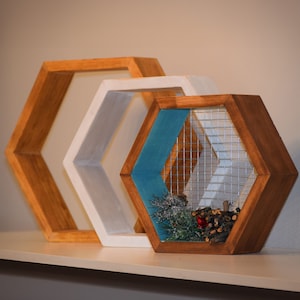 Hexagon Shelves, Geometric Shelves, Honeycomb Shelf, Unique Shelves, Floating Shelf, Wall Art, Wood Hexagon, Plant Shelf, Wall Decor