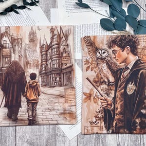 May include: Two illustrations on canvas. The first shows a young boy and a man walking down a cobblestone street with buildings on either side. The second shows a young man with a white owl perched on his arm, holding a wand in his hand.