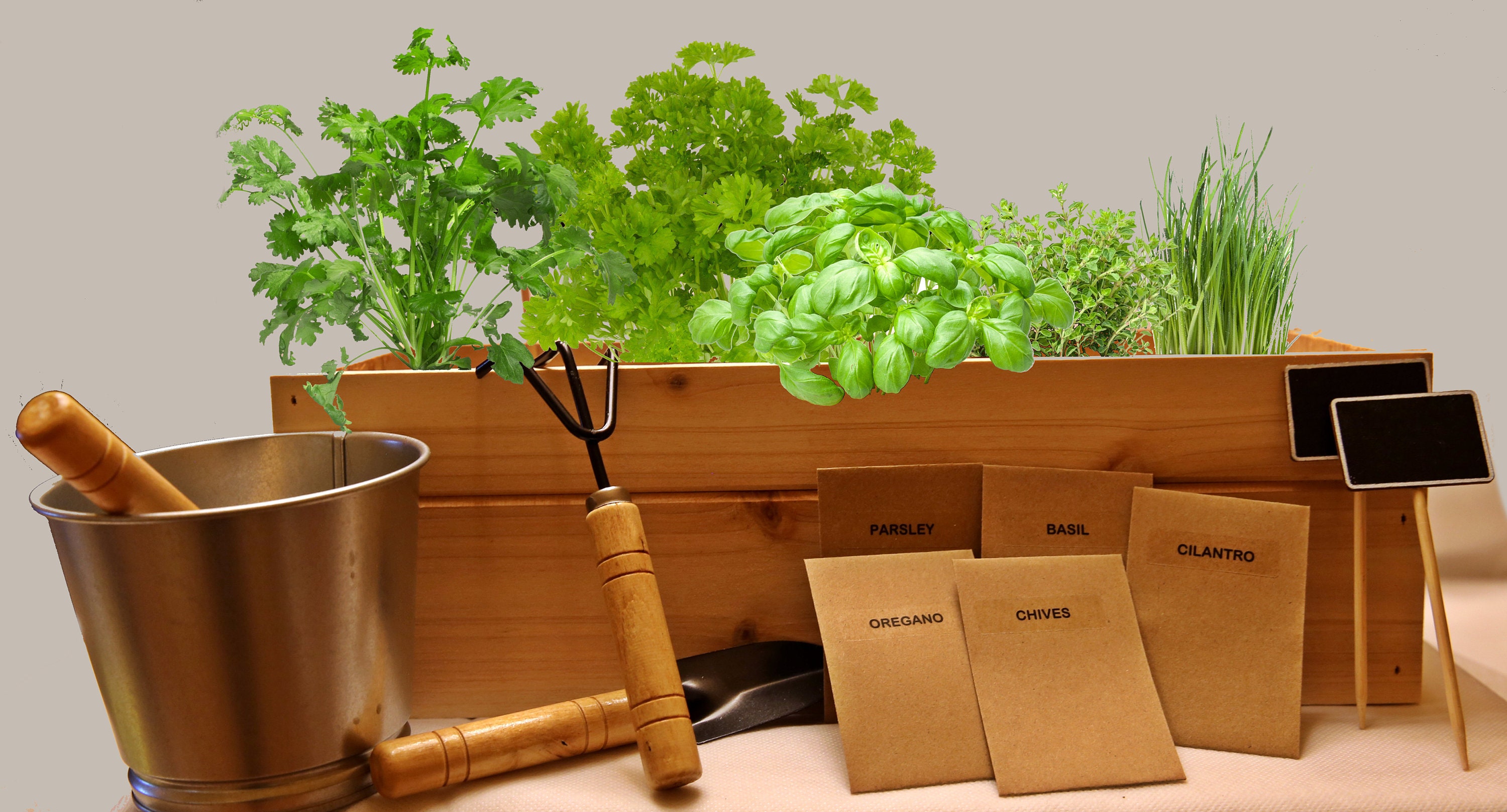 Zeder Nerze Kräutergarten Kit Indoor Kräutergarten wachsen | Etsy