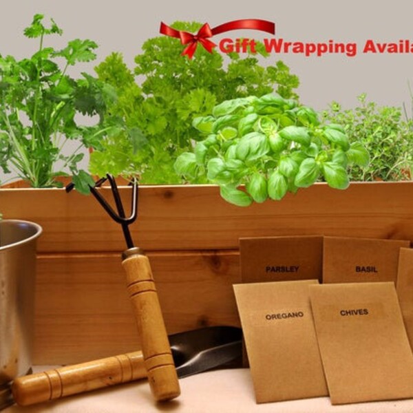 Herb Garden Kit Etsy
