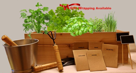 5 Brilliant Ways To Use Medicinal Garden Kit Review