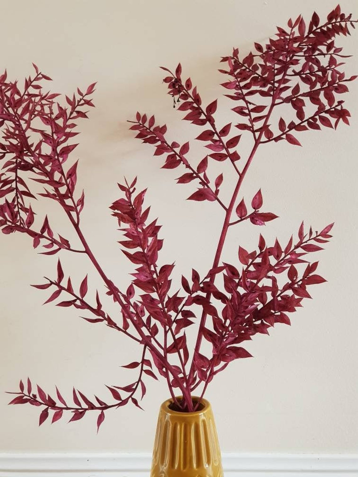 Preserved Burgundy Italian Ruscus Dried Natural Flowers Etsy