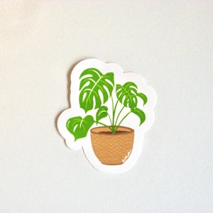 Monstera Plant Sticker