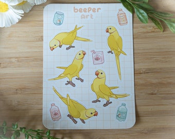 Indian Ringnecks Stickersheet A6 - Yellow