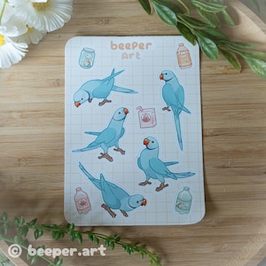 Feuille d&#39;autocollants A6 Indian Ringnecks - Bleu