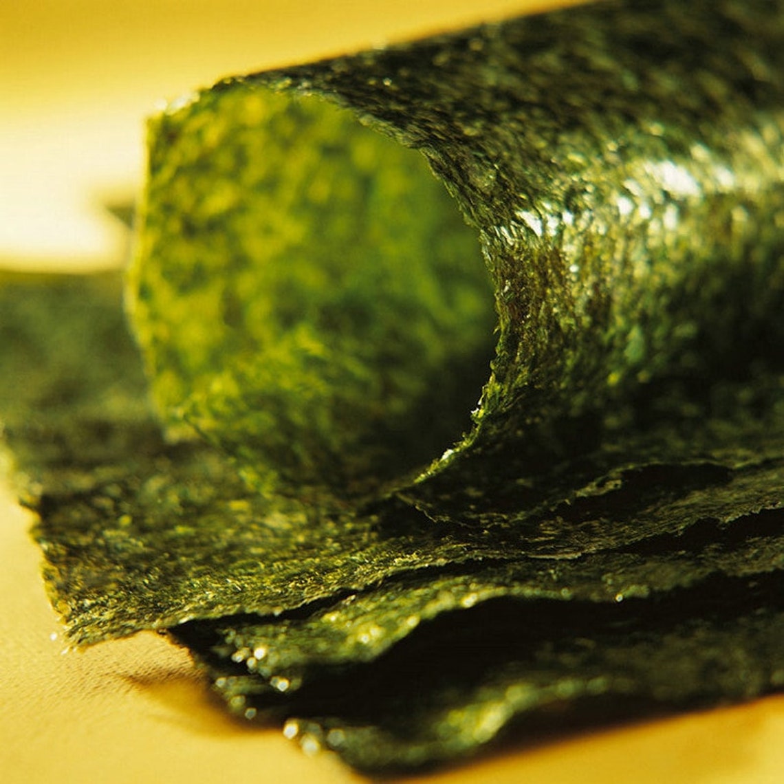 50100Pcs Nori Sushi Seaweed Dried Laver Seaweed Nori for Etsy