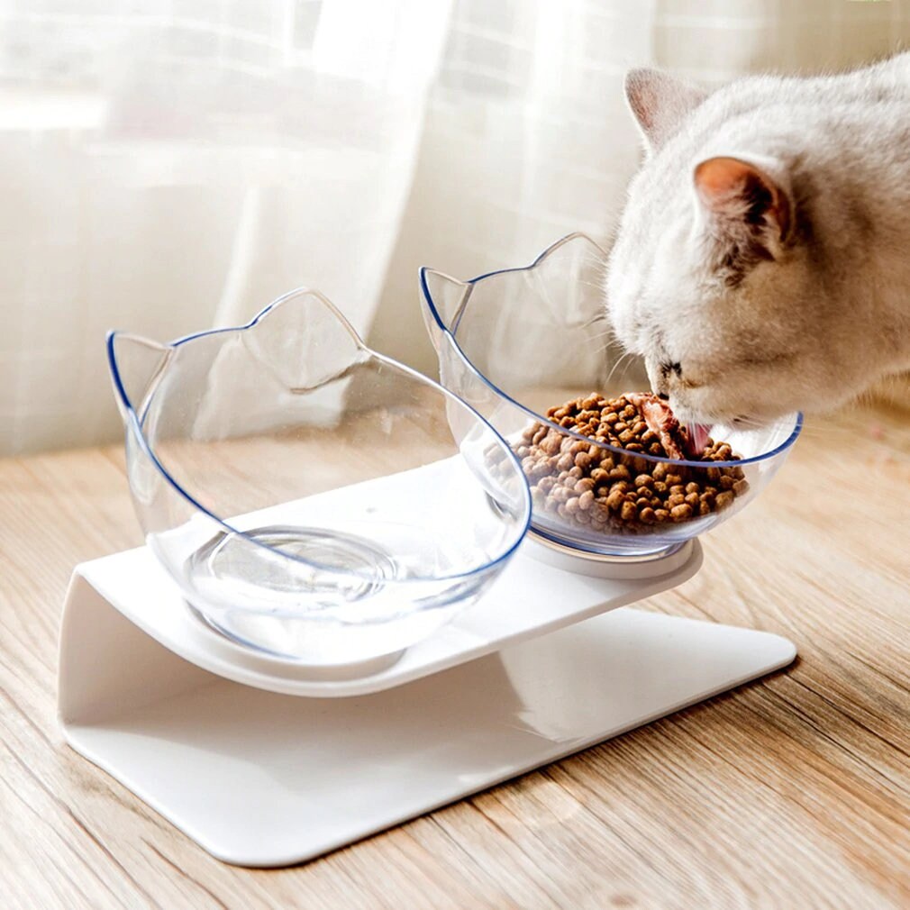 Nonslip Cat Bowls with Raised Stand Elevated Cat Bowl Etsy