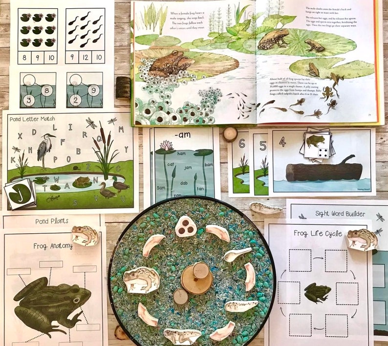 Frog Life Cycle and Lily Pad Blocks Tadpole Pollywog | Etsy