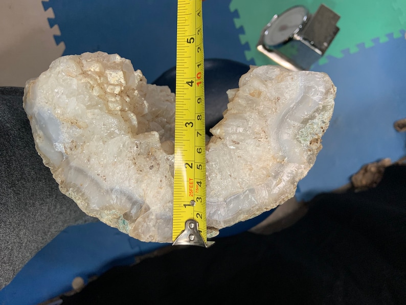 Tom Miner Basin petrified wood log with large quartz crystals inside from Montana RARE