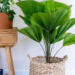 May include: A set of three ceramic mugs with a speckled, matte finish. The mugs are in shades of cream, light gray, and dark gray. Each mug has a simple, minimalist design and a rounded handle.