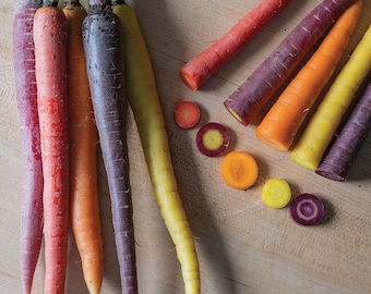 Organic Multicolor Carrot Seeds (Daucus carota var. sativus) - High Germination, USA-Grown, Free Shipping, Detailed Growing Instructions