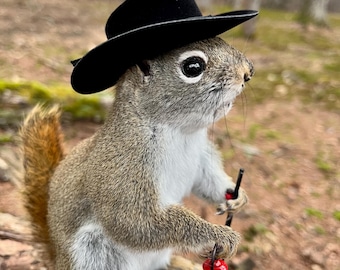 New! Cowboy Squirrel Taxidermy, Red Squirrel Taxidermy, Adirondacks, Fall decor, Home decor, Gift, Nature, Rustic Decor, Mancave! Adorable!