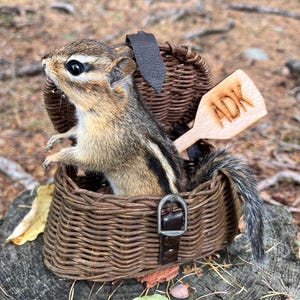 May include: A small chipmunk sits inside a dark brown woven wicker basket with a leather strap and metal buckle. A light-colored wooden paddle with the letters ADK burned into the surface is tucked inside the basket next to the chipmunk.