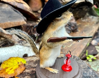 NEW! Cowboy Chipmunk Mount! Real Taxidermy, Squirrel taxidermy, Adirondacks, Nature, Mancave, Novelty, Country Western, Fall Decor, Gift!!