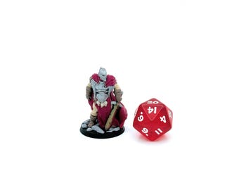 Painted Fearless Fighter -  Hero, 28mm, DnD Miniatures, D&D, Mini - Fallen Knight