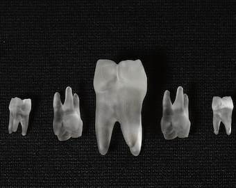 Teeth - Inclusions for Dice