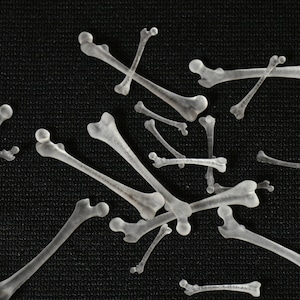 Femur Bones - Inclusions for Dice