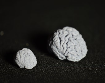 Puede incluir: Dos objetos grises con forma de cerebro, uno más grande que el otro, sobre una superficie negra.