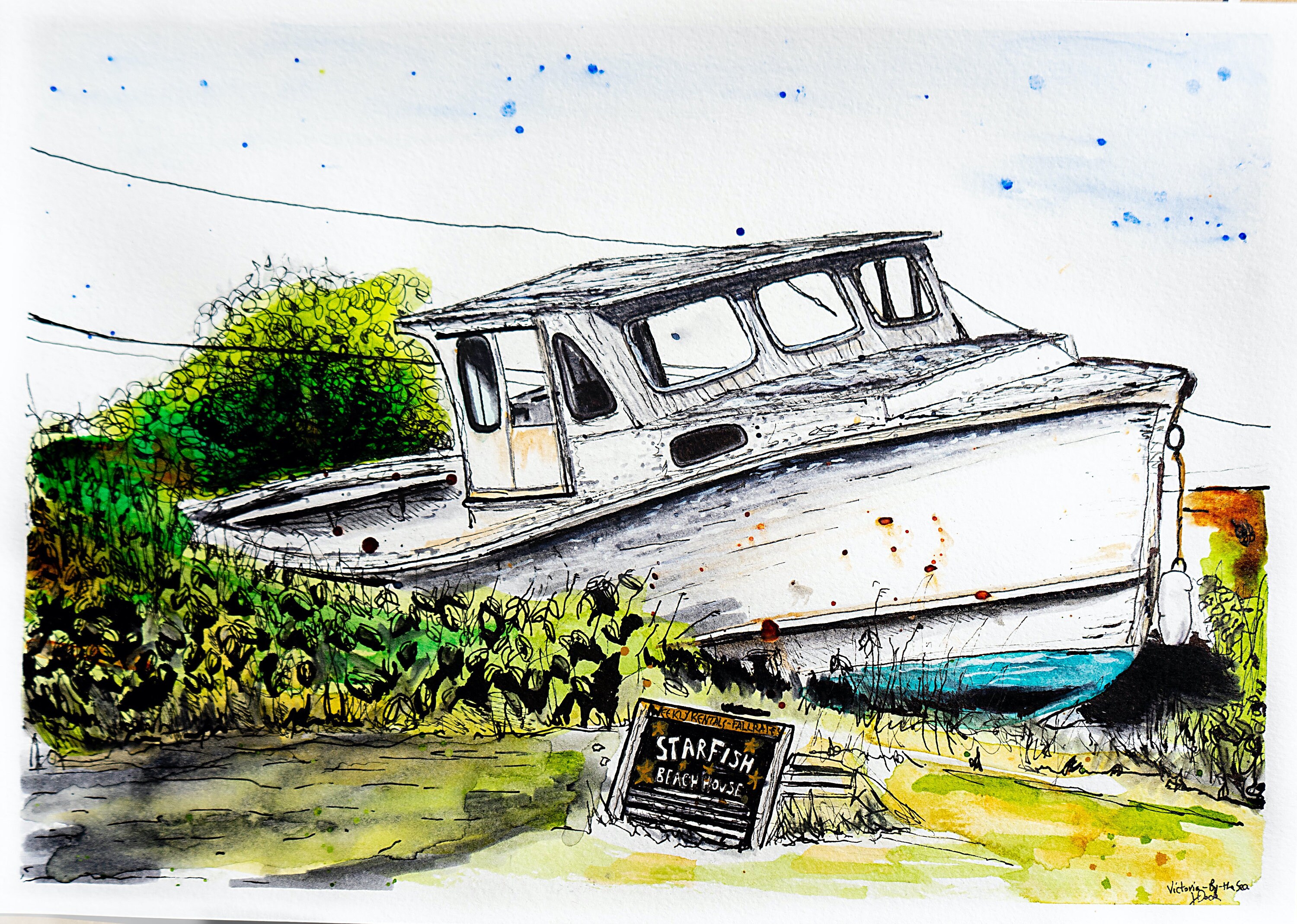 Pet Shops Albury Wodonga For Cheap www.meesenburg.kz