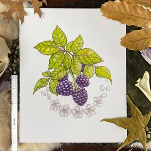 Sweet As Summer (8&quot;x10&quot;)