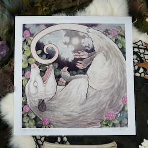 Forest Familiars: Opossum (8&quot;x8&quot;)