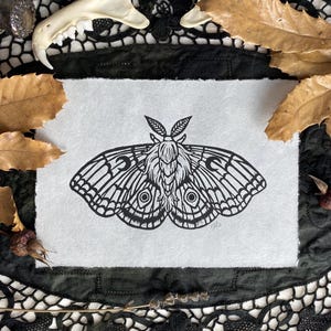 Apotropaic Moth (7&quot; x 5&quot;)