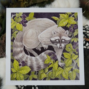 Forest Familiars: Raccoon (8&quot;x8&quot;)