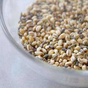 A macro image of a mixture of organic pearl barley and French lavender, used to fill lavender scented weighted yoga eye pillows.