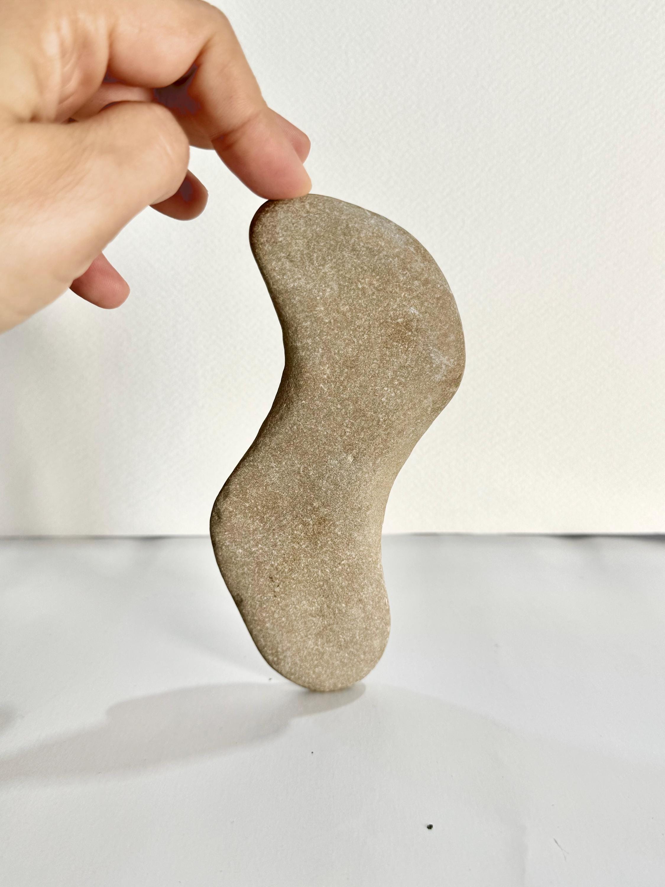 Pebble Rarest Stone Rare Flattened Stone With a Strange Shape, Pebbles, Sea Stones, Beach ...