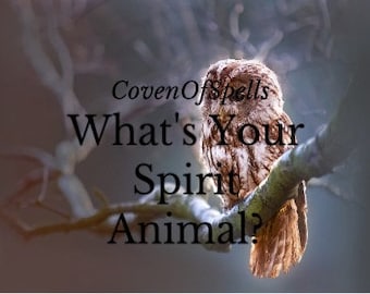 What Is Your Spirit Animal? - What Is Your Totem Animal?